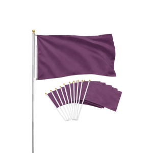 The Great Nation Flag Set(1 Large Flag + 10 Small Flags)$34.99