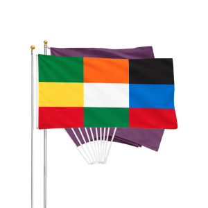 The Big Nation Flag Set(1 Large Flag + 10 Small Flags)$34.99